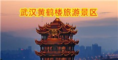 淫欲鸡巴操视频