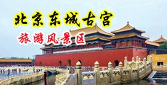 骚妇暴露调教视频中国北京-东城古宫旅游风景区