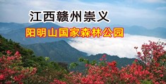 淫B浪吊